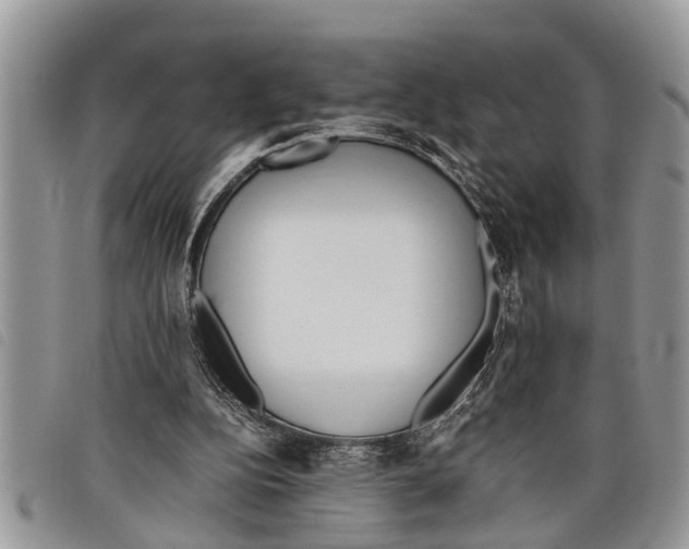 X0000097800152200804110934