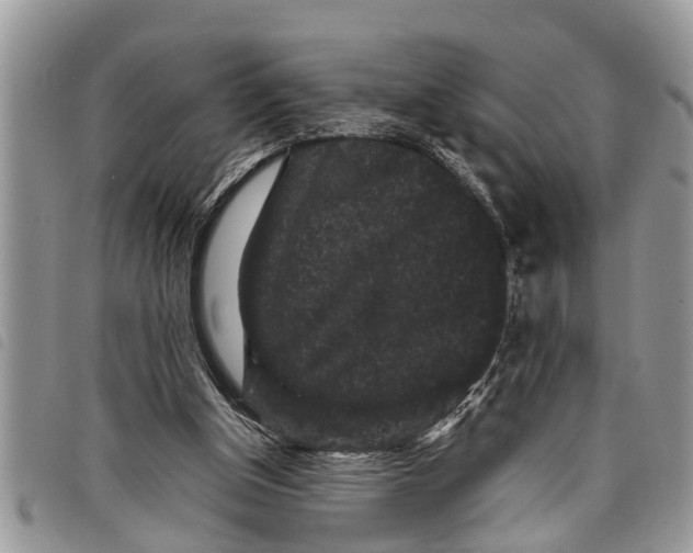 X0000097800154200804110934