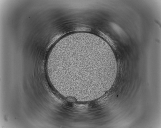 X0000097800155200804110934