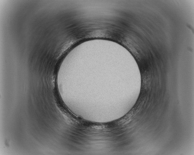 X0000097800160200804110934