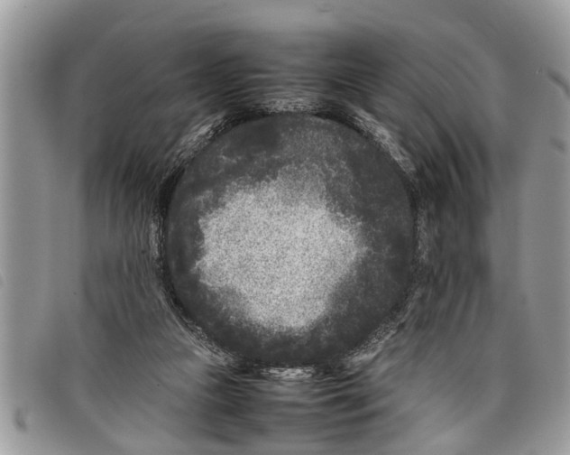 X0000097800161200804110934