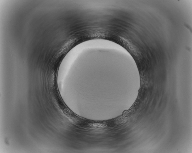 X0000097800163200804110934