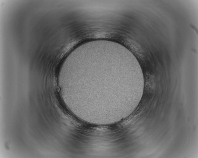 X0000097800164200804110934