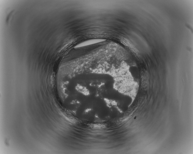 X0000097800165200804110934