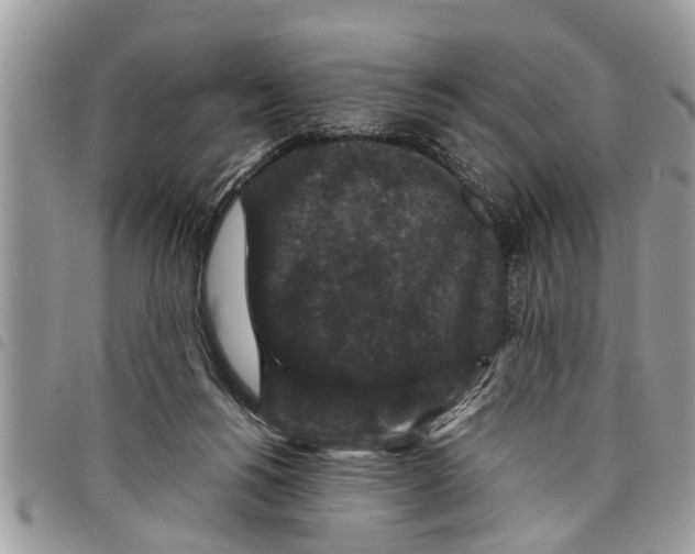 X0000097800168200804110934