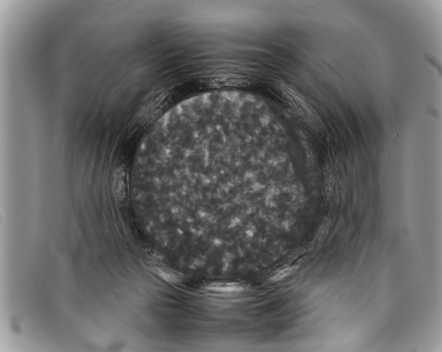 X0000097800169200804110934