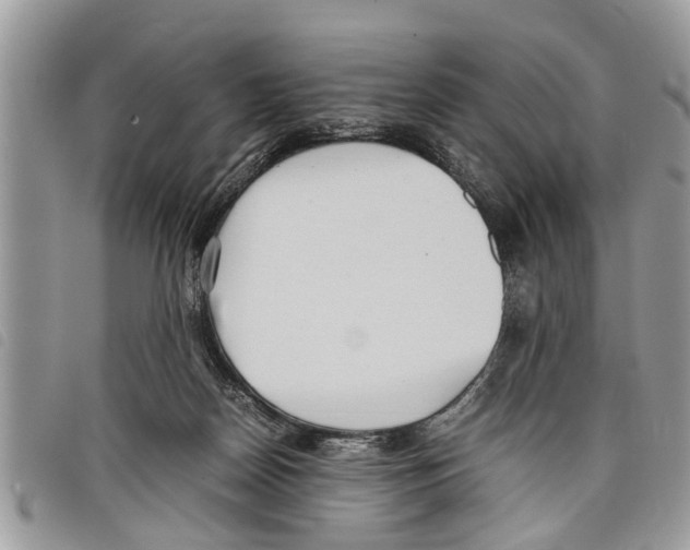 X0000097800170200804110934