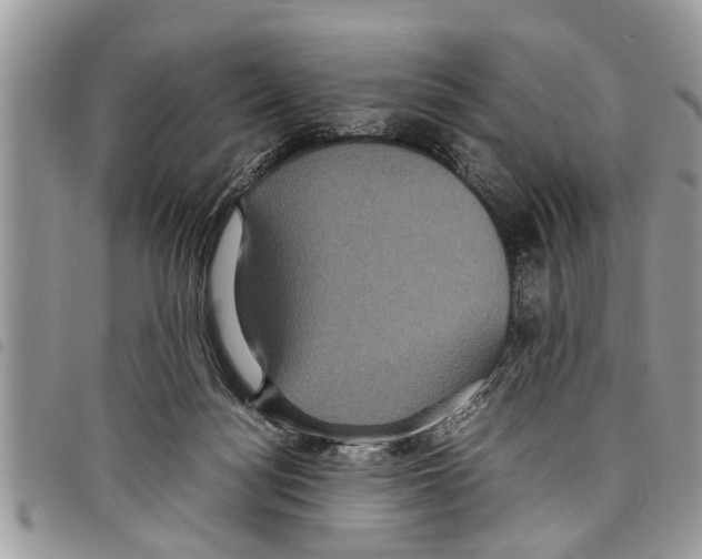 X0000097800172200804110934