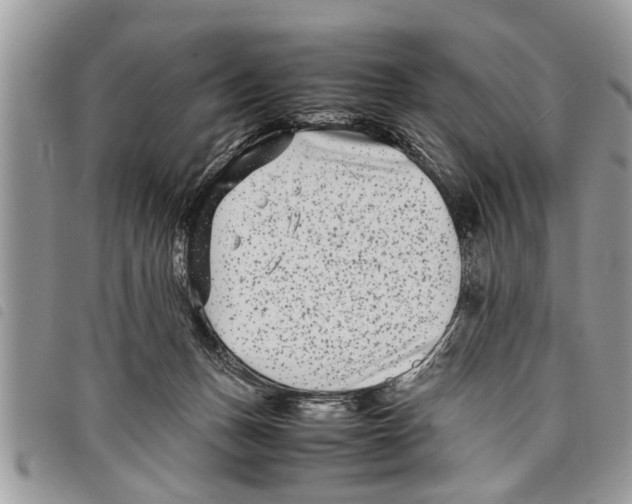 X0000097800175200804110934