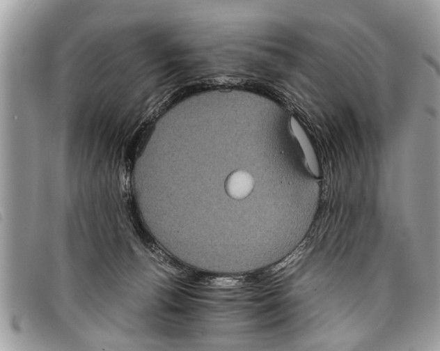 X0000097800176200804110934