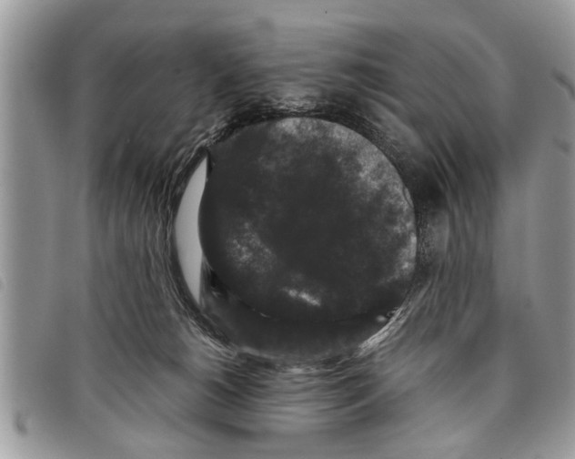 X0000097800180200804110934