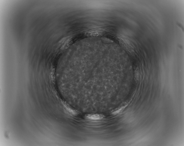 X0000097800181200804110934