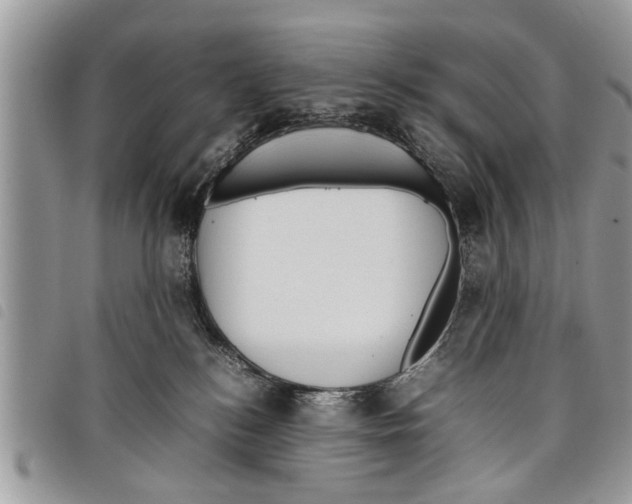 X0000097800184200804110934