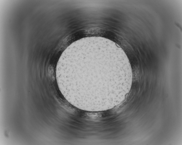 X0000097800187200804110934