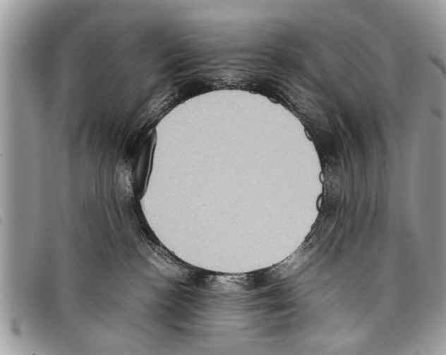 X0000097800188200804110934