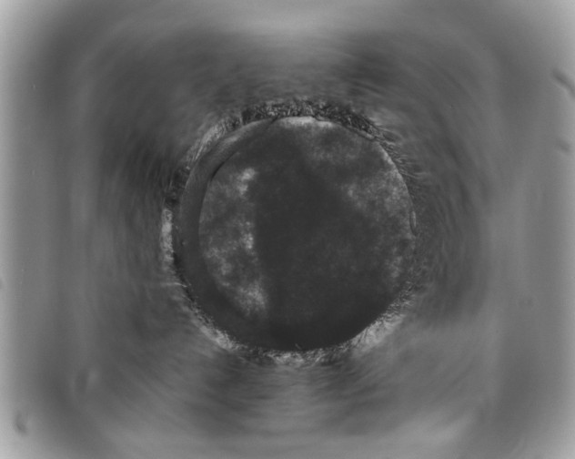 X0000097800192200804110934