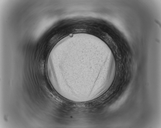 X0000097800194200804110933