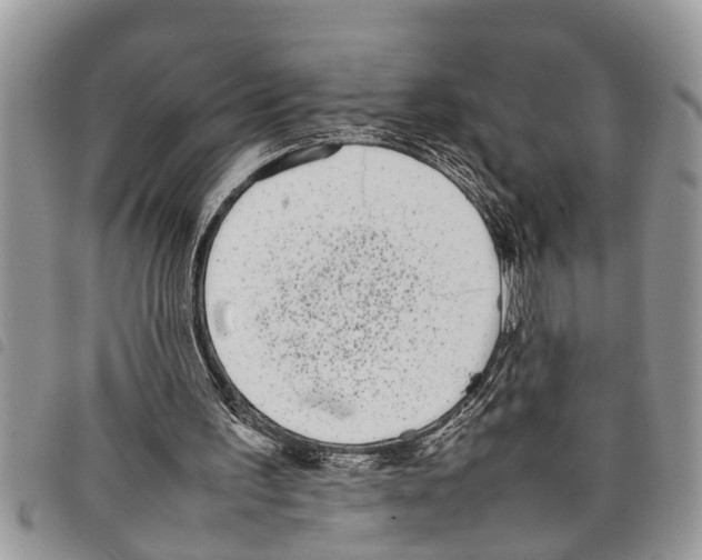 X0000097800195200804110933