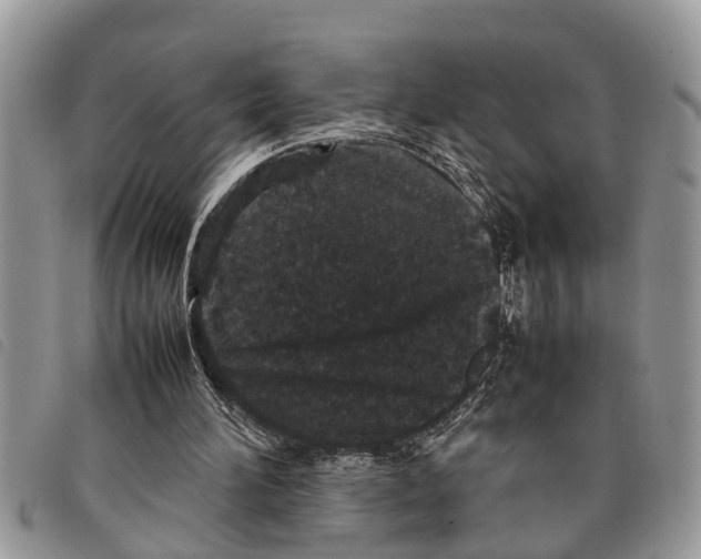 X0000097800196200804110933