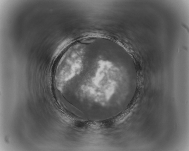 X0000097800199200804110933