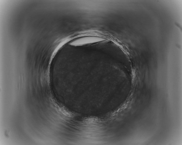 X0000097800200200804110933