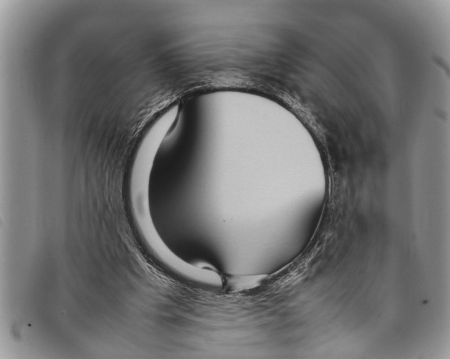 X0000097800201200804110933