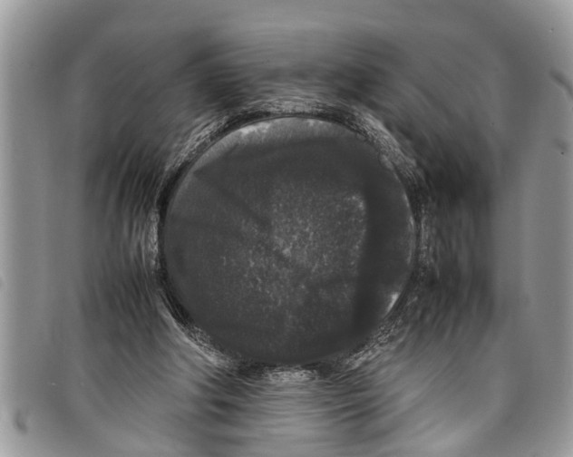 X0000097800202200804110933