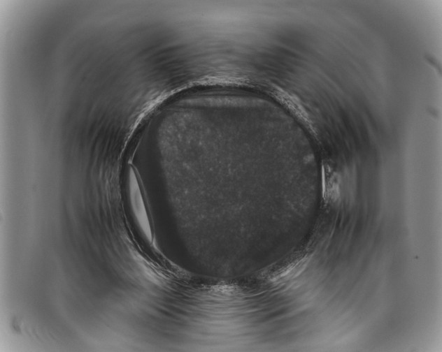 X0000097800204200804110933