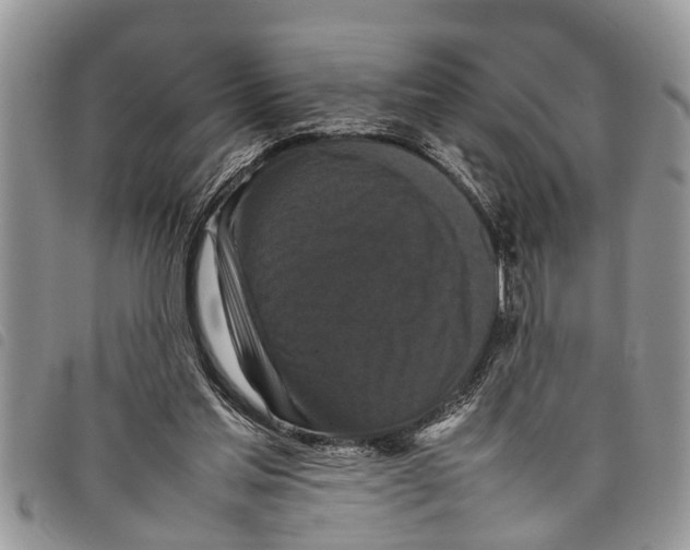 X0000097800205200804110933