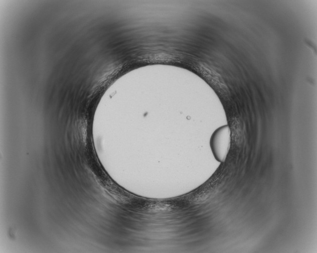 X0000097800206200804110933