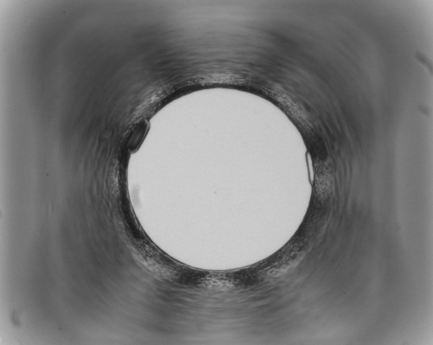 X0000097800207200804110933