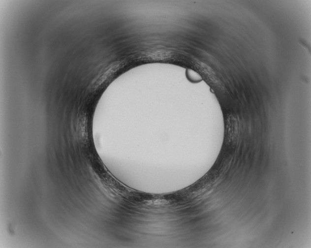 X0000097800212200804110933