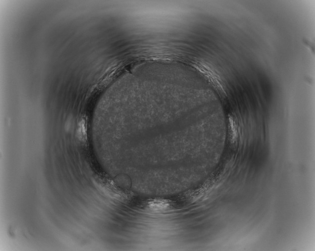 X0000097800214200804110933