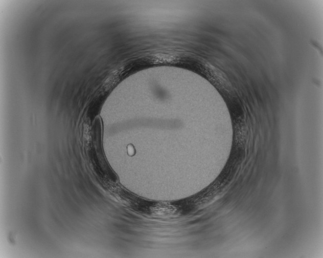 X0000097800215200804110933