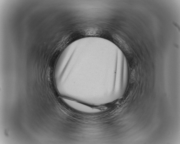 X0000097800217200804110933