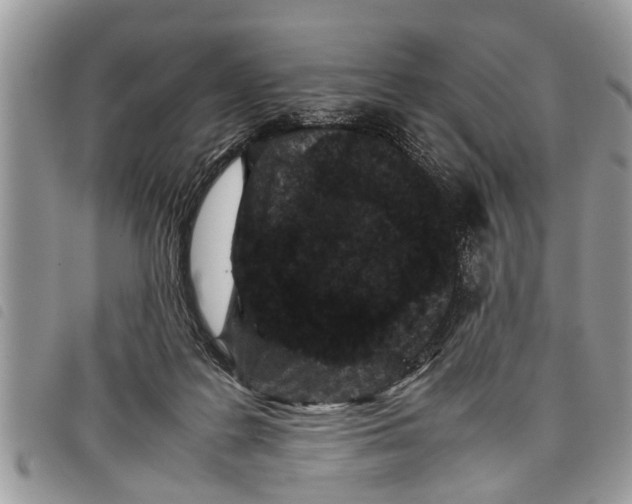 X0000097800219200804110933