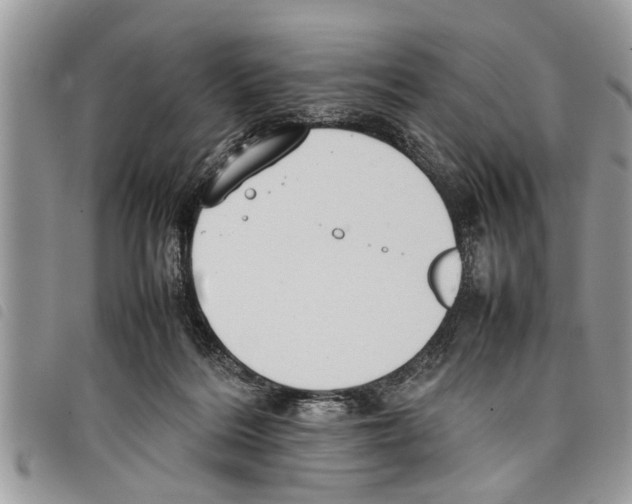 X0000097800220200804110933