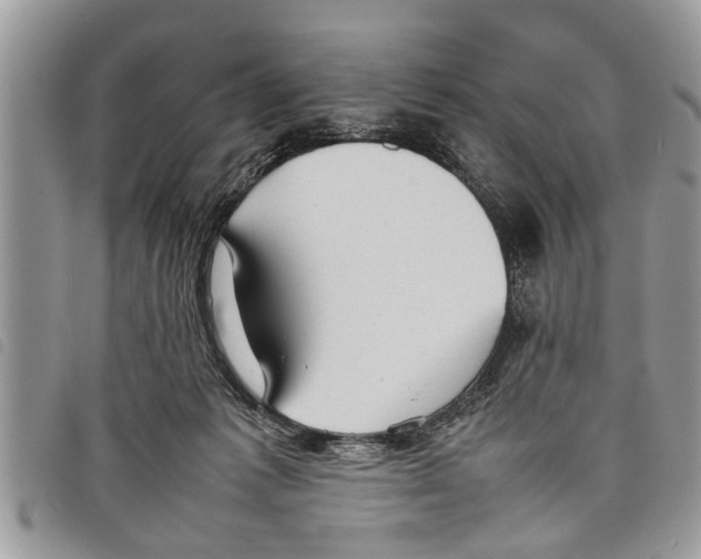 X0000097800221200804110933