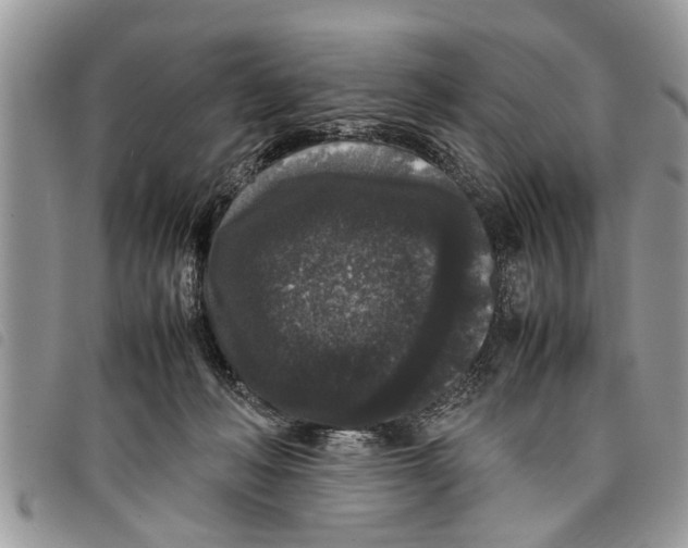 X0000097800222200804110933