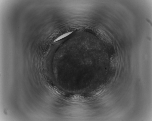 X0000097800223200804110933