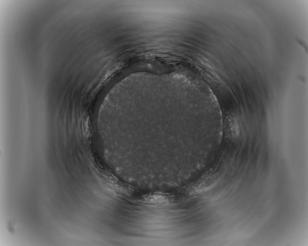 X0000097800224200804110933