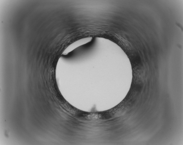 X0000097800225200804110933