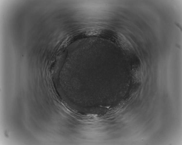 X0000097800227200804110933