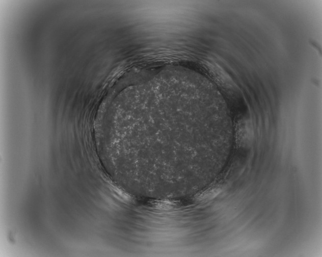 X0000097800229200804110933