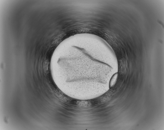 X0000097800230200804110933