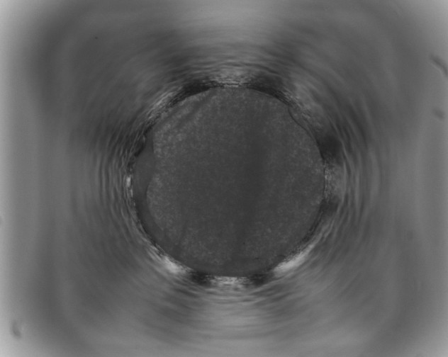 X0000097800237200804110933