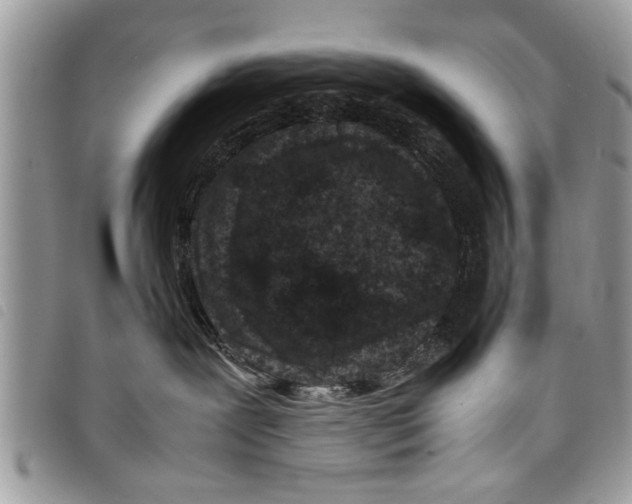 X0000097800239200804110933