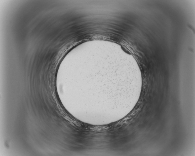 X0000097800241200804110932