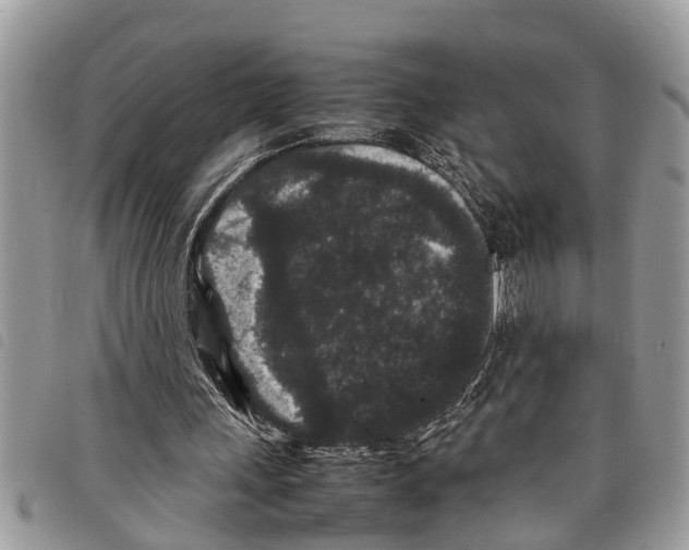 X0000097800243200804110932