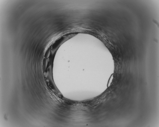 X0000097800244200804110932